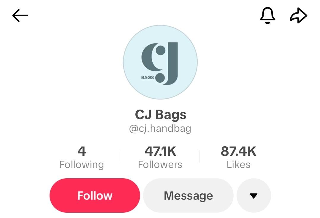 Dazz Commerce TikTok channel CJ Bags (@cj.handbag)
